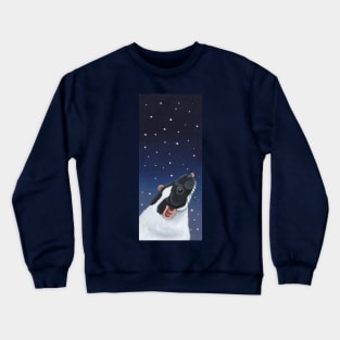 Black Capped Rat Stargazing Crewneck Sweatshirt